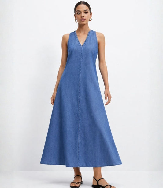 A Line Denim Dress